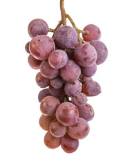 bunch of ripe purple grapes. isolated on white background