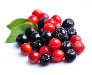 Black chokeberry and viburnum.