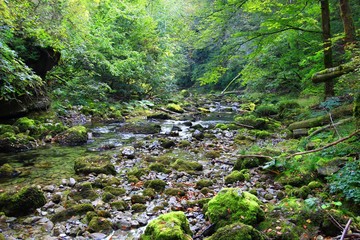 Wild nature in Croatia