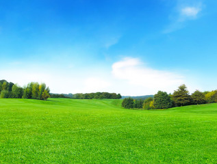 Spring or summer landscape with fluffy clouds and green meadow.