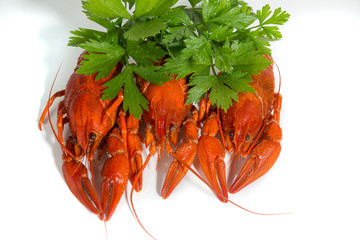 three Boiled crayfish on isolate white background with green