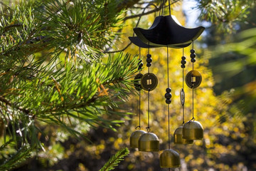 Closeup wind chimes for protection and good luck in autumn garden