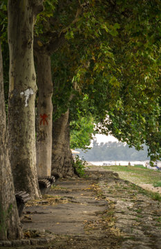 Walking zone