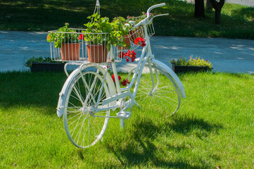 Fototapeta na wymiar Old white bicycle with beautiful flowers standing on the grass