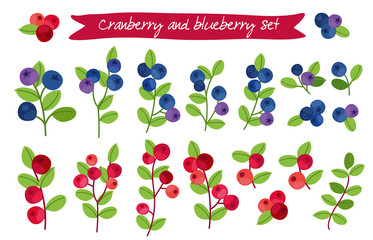 cranberry and blueberry set