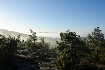 fog over the valley in the early morning