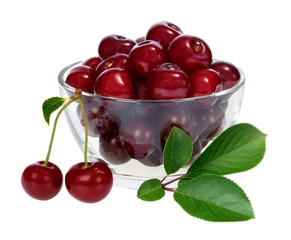 cherry on a white background
