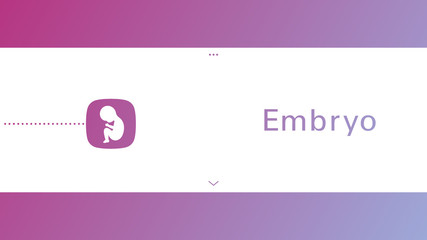 Fetus Icon Isolated on White Background