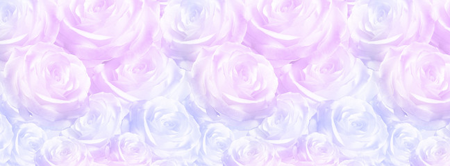 elegant  pattern pink luxurious rose