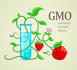 GMO genetically modifiedplants growing in test-tube