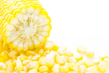 Corn cob broke in half on pile of kernels, on white with copy-space