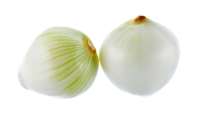 onion  on white background