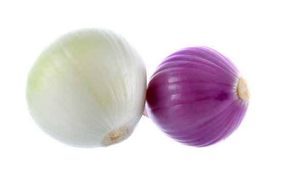 purple  onion  on white background
