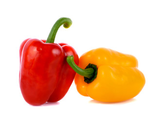bell pepper  on white background