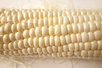  白いトウモロコシ