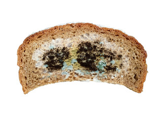 Altes verschimmeltes Brot