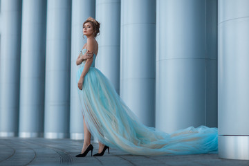 Fototapeta premium Queen with a crown among the columns.