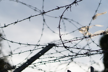 Fence with barbed wire