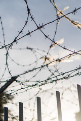 Vertical shot of fence with barbed wire