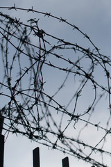 Fence with barbed wire. Vertical shot