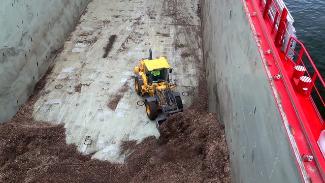 Bulldozer Working Inside Ship Cargo Hold at Port of Stockholm, Sweden