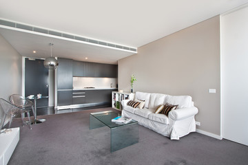 Modern gourmet kitchen interior