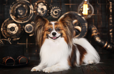 dog on a dark background in the style of steampunk