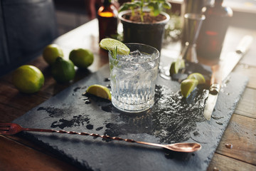 Glass of a freshly prepared gin and tonic - obrazy, fototapety, plakaty