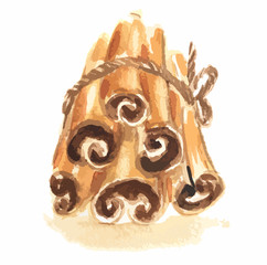 Watercolor bunch of cinnamon