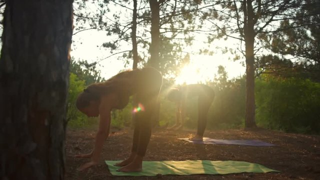 Girls practicing yoga stretching at sunset in forest Padahastasana Slow motion