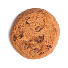 Single oatmeal cookie