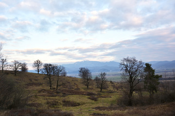 evening in a early spring landscapeon wild transylvania hills. Brasov. Romania. Low key, dark background, spot lighting, and rich Old Masters