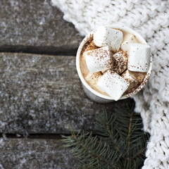 A cup of warm cocoa with marshmallows