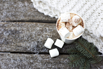 Fototapeta na wymiar A cup of warm cocoa with marshmallows