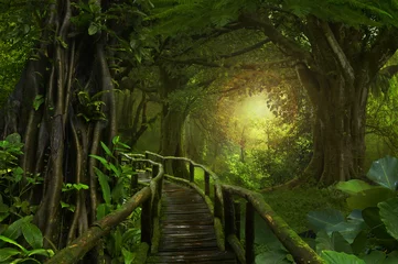 Vlies Fototapete Dschungel Thailand-Dschungel mit