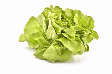 Obraz premium Green Iceberg lettuce on White Background