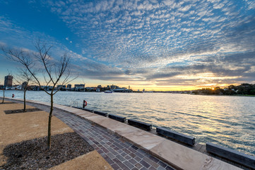 Barangaroo reserve in Sydney