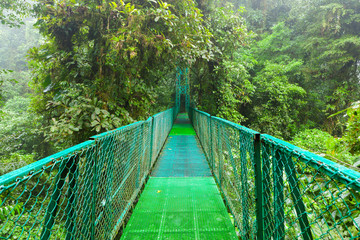 Obraz premium Suspension bridge in rainforest