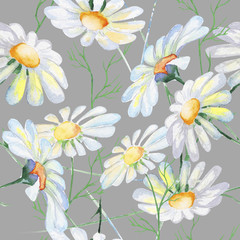 wild flower daisy, watercolor, pattern