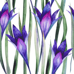 Wild blue flowers, pattern, colorful.  watercolor