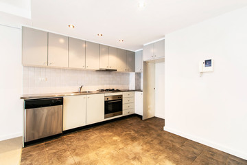 Modern gourmet kitchen interior