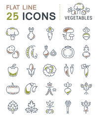 Set Vector Flat Line Icons Vegetables