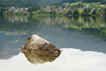 Stone in lake with blurred coast on background