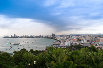 Fototapeta premium view from top of The building cityscape, seascape and skyscrape