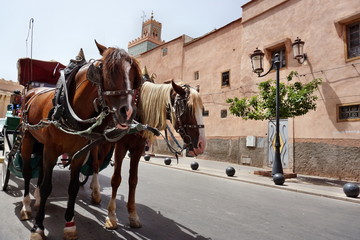 Fototapeta premium Markt in der Medina von Marrakesch