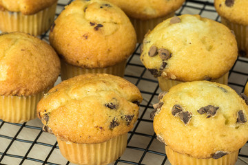 Mini chocolate chips muffins.