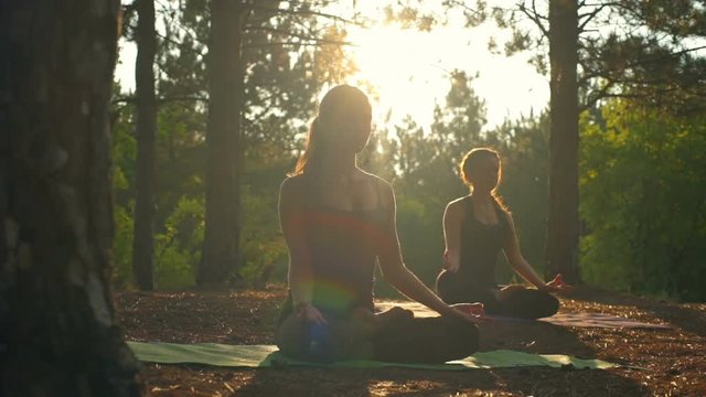 Girls meditating practicing yoga at sunset in forest Padmasana Slow motion