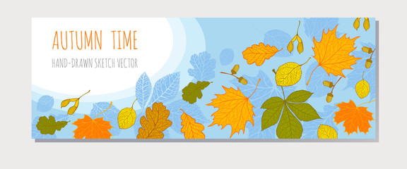 Beautiful backgrounds with the falling leaves: chestnut, oak, maple, alder. Invitation, greeting card, banner