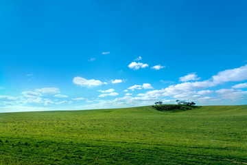 Green field with sun and blue sky with clouds