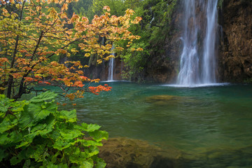 landscape with waterfall and red tree